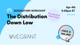 The Distribution Down Low: Shorts and Web Series