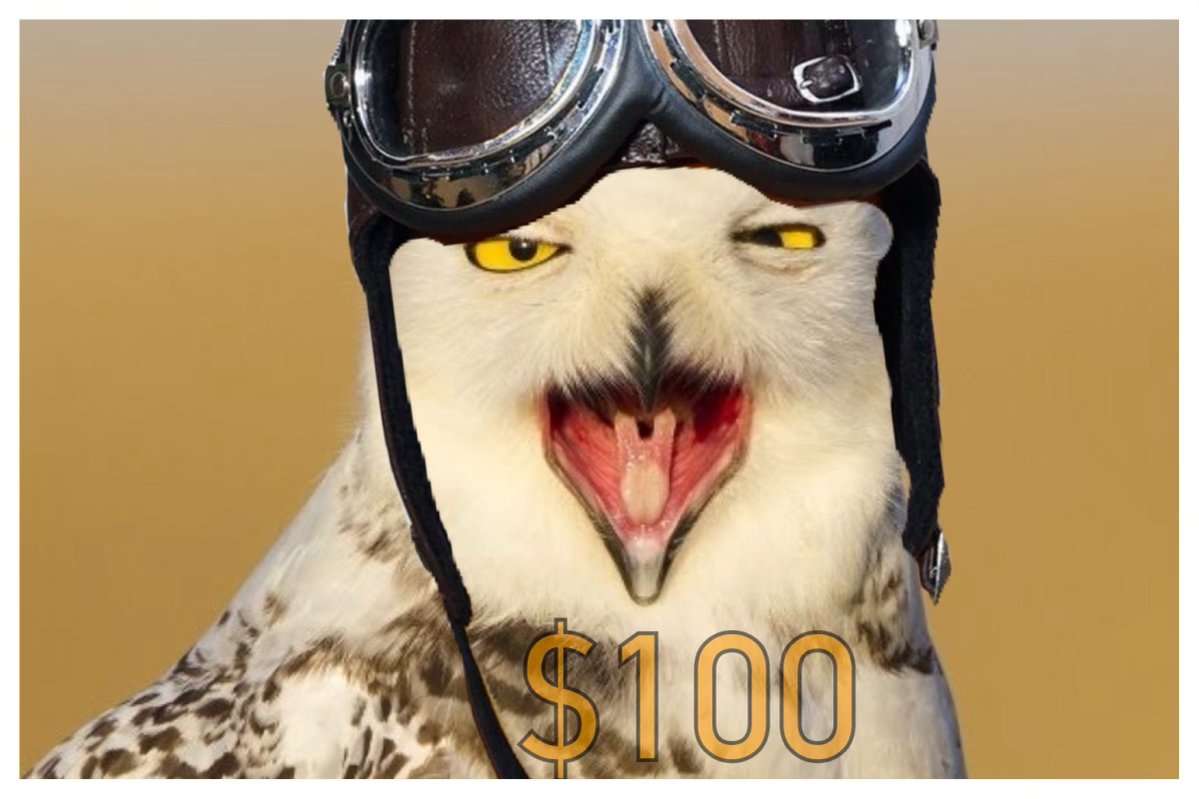 incentive