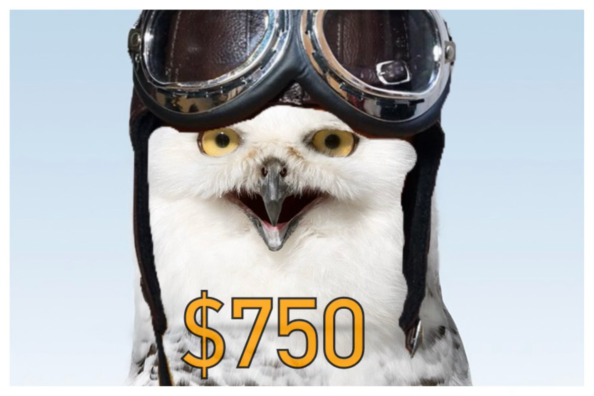 incentive
