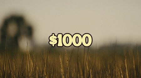 incentive
