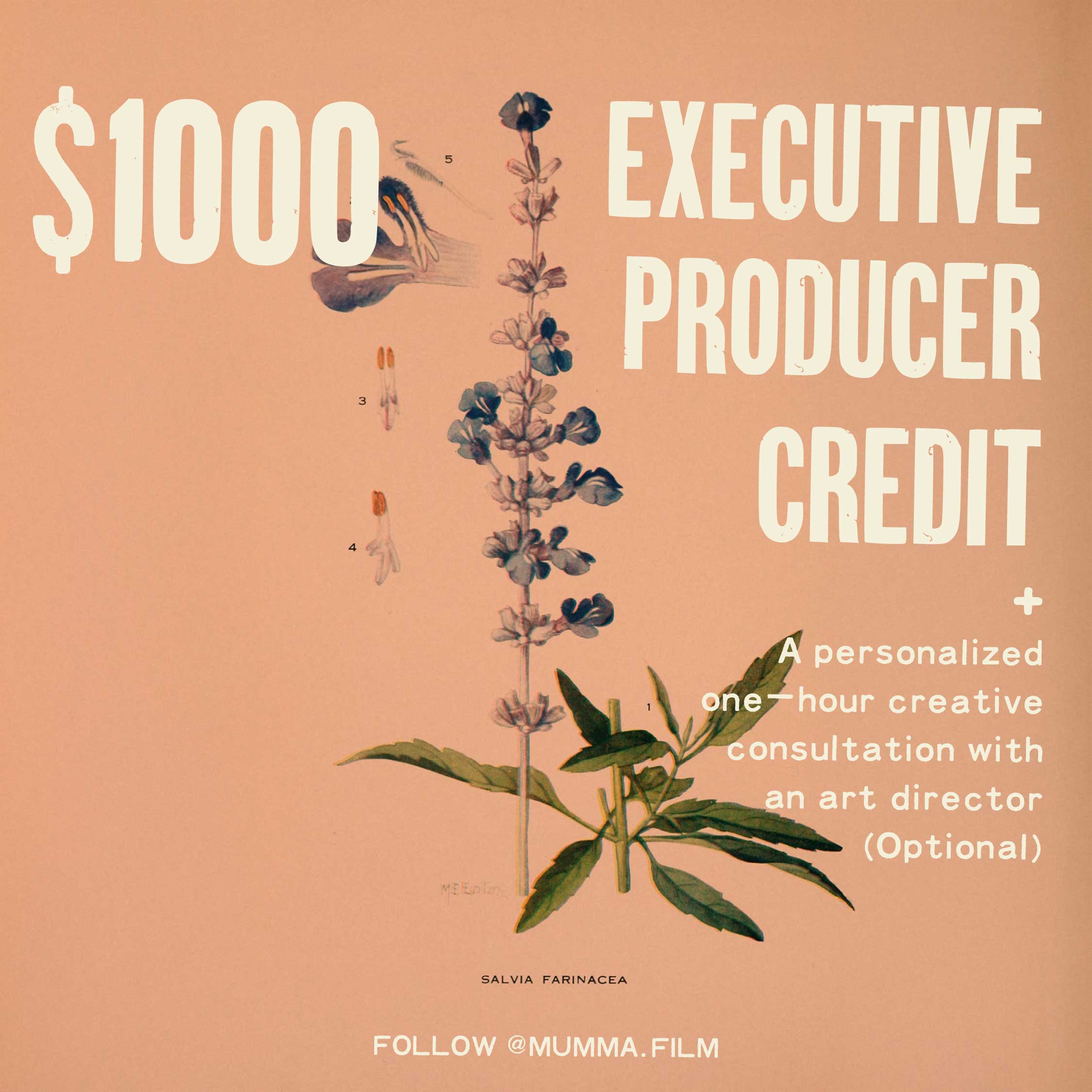 incentive