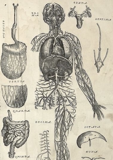 Full Rotten Body The Color of Rotting - Film and Storytelling | Seed&Spark