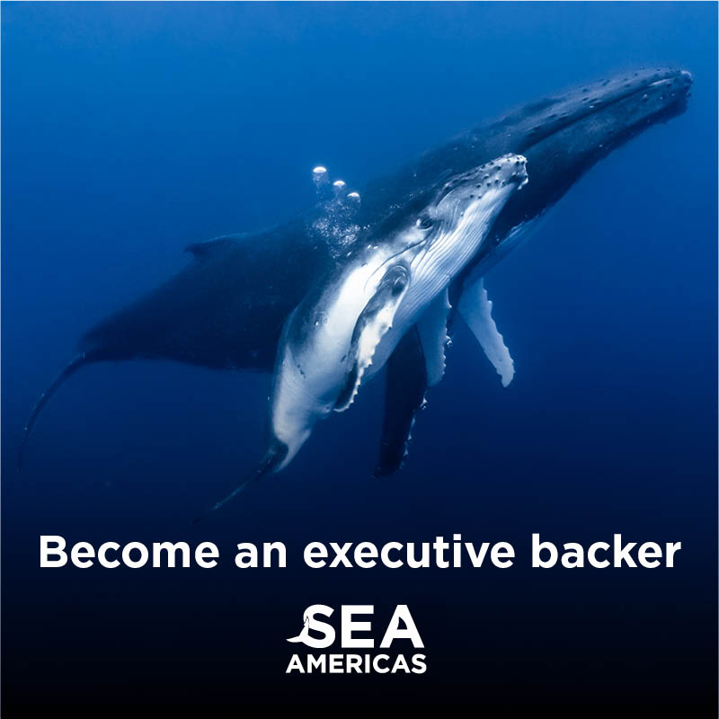 incentive
