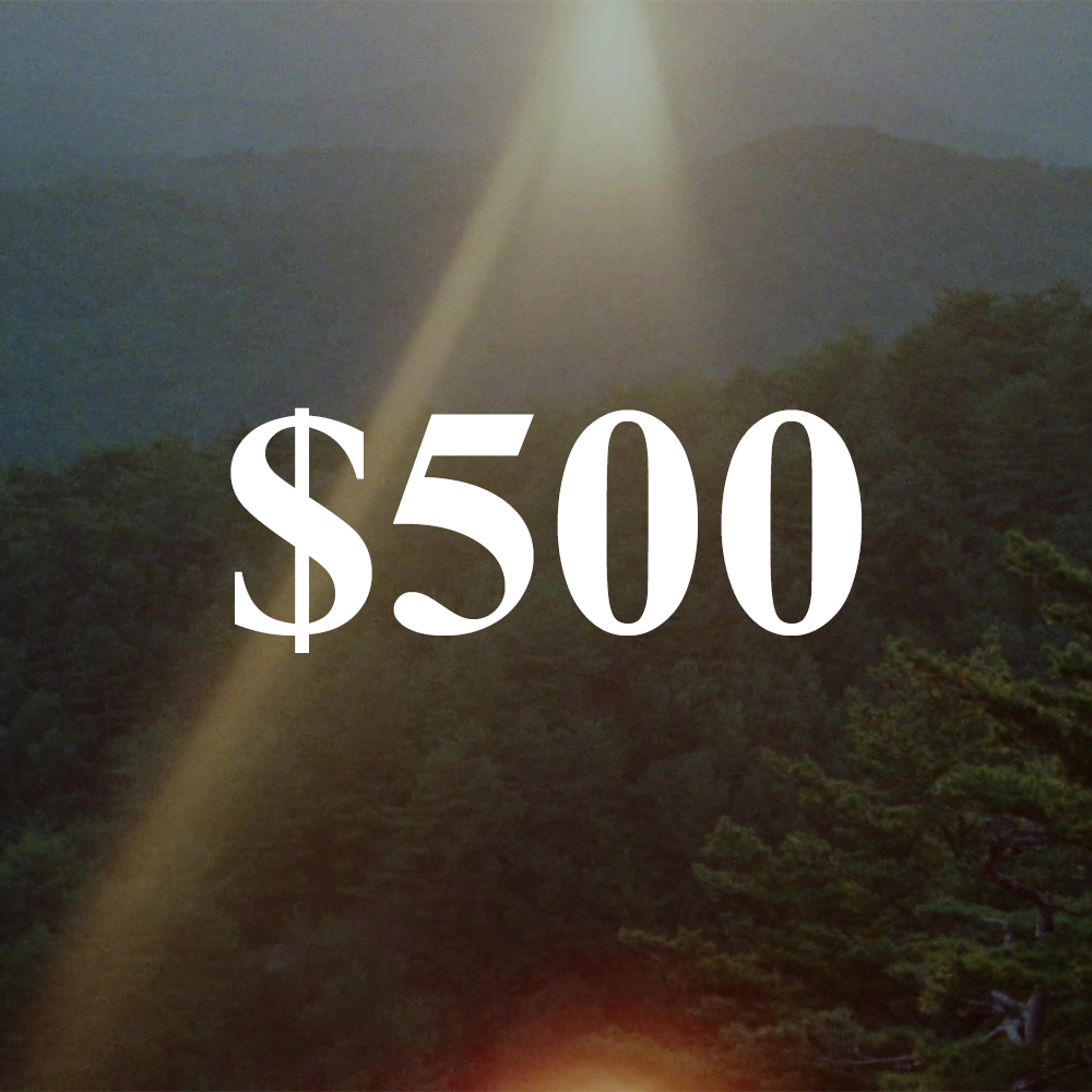 incentive
