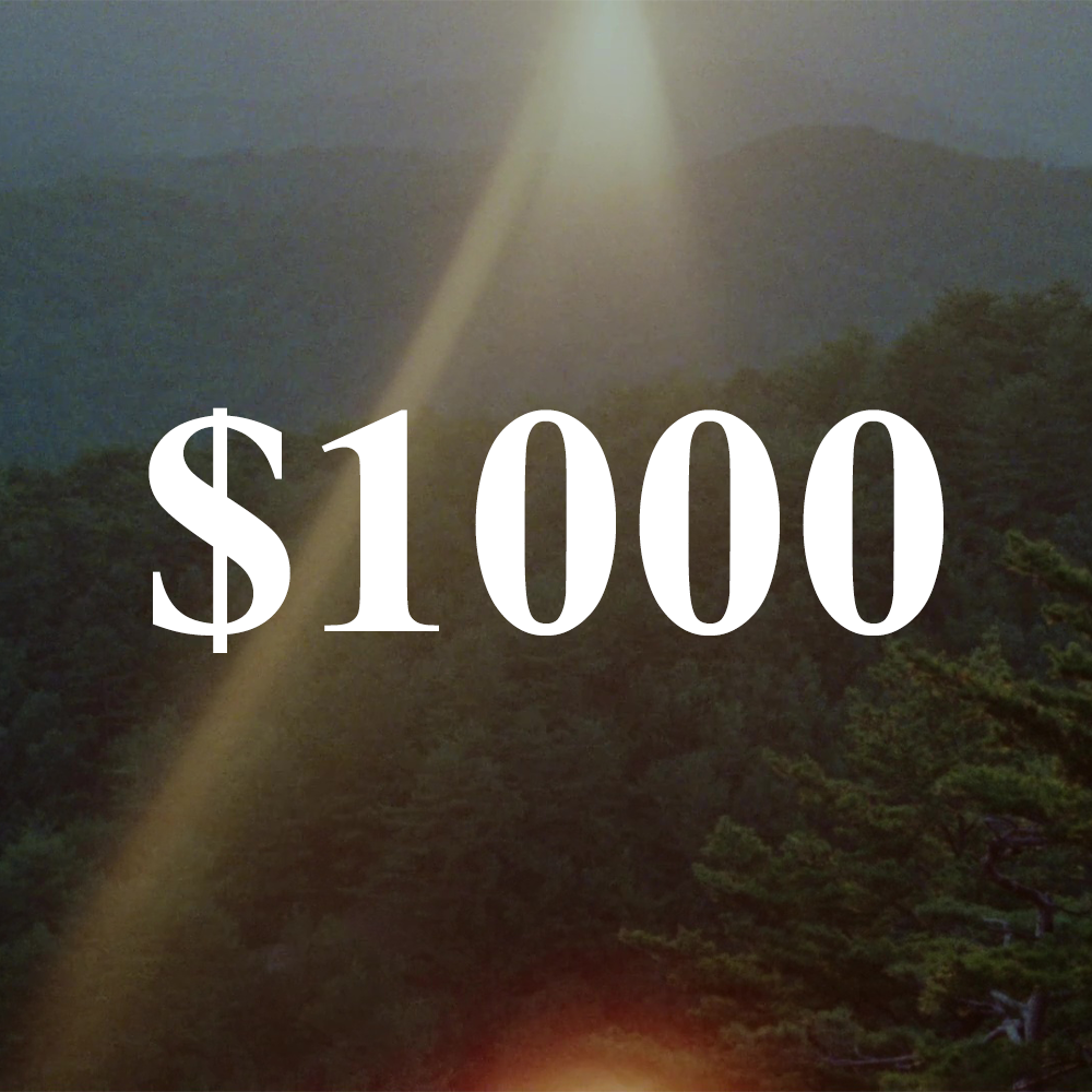 incentive