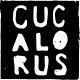 Erica Anderson Speaks at Cucalorus Connect