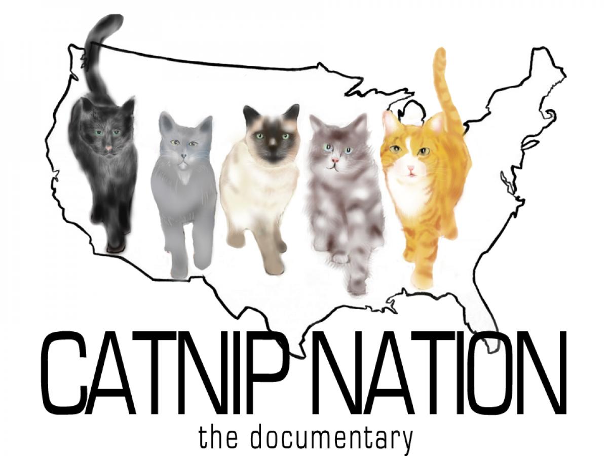 Catnip Nation - Film and Storytelling | Seedu0026Spark