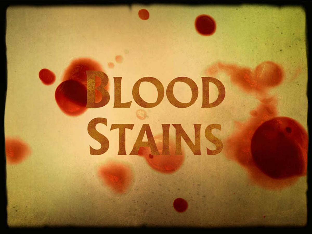 Blood Stains | Seed&Spark