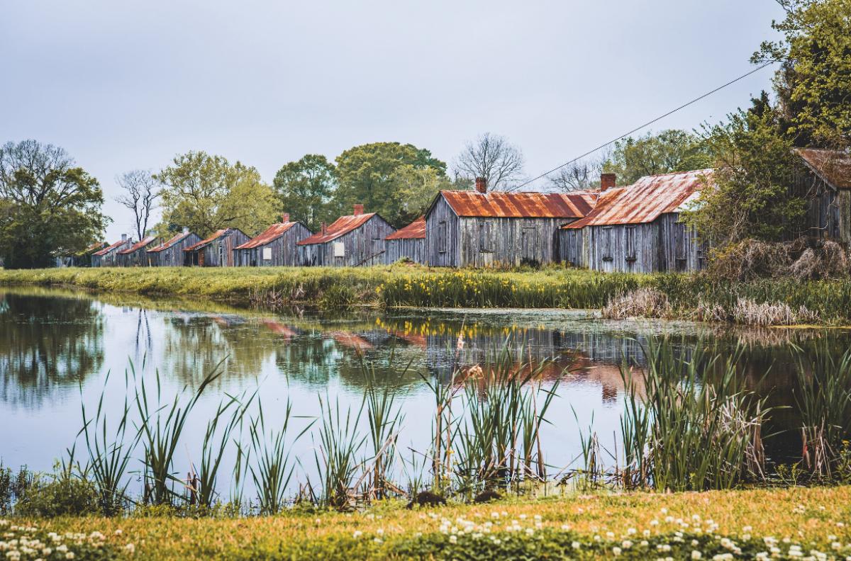 Thibodeauxville The Story of the Thibodaux Massacre Race, Riot, and Resilience Seed&Spark