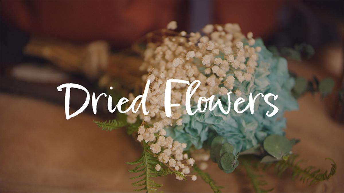 Dried Flowers Film and Storytelling Seed&Spark
