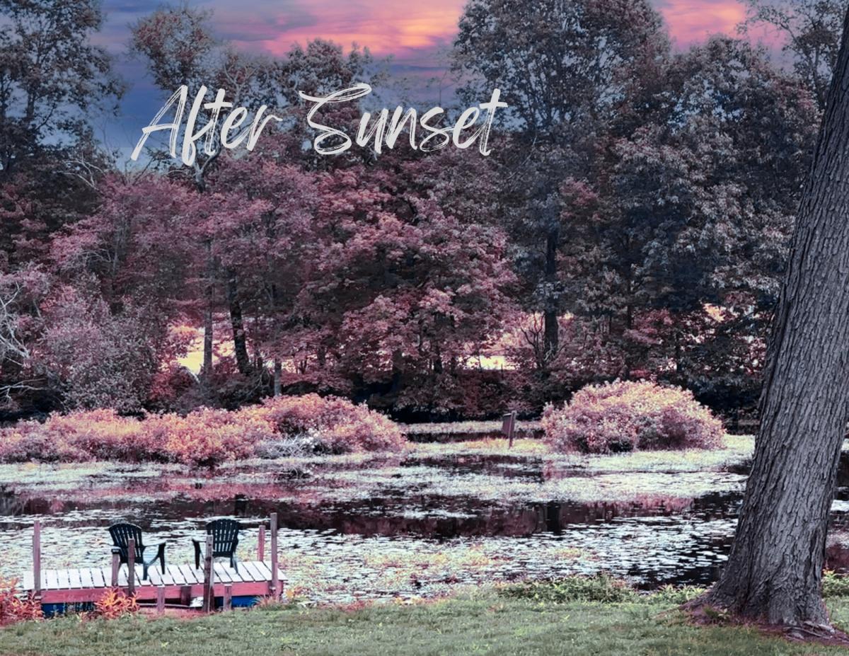 After Sunset Film and Storytelling Seed&Spark