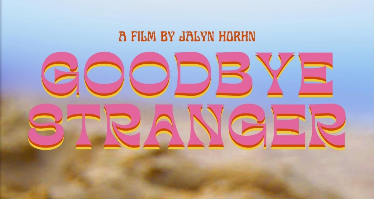 Goodbye Stranger Film and Storytelling Seed&Spark