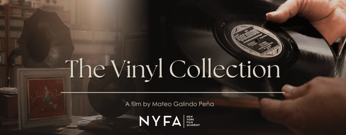The Vinyl Collection image
