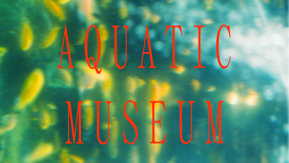 Aquatic Museum image