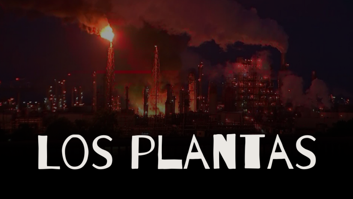 Los Plantas