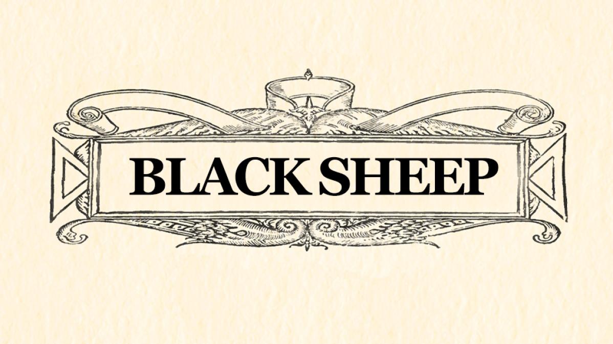 Black Sheep image