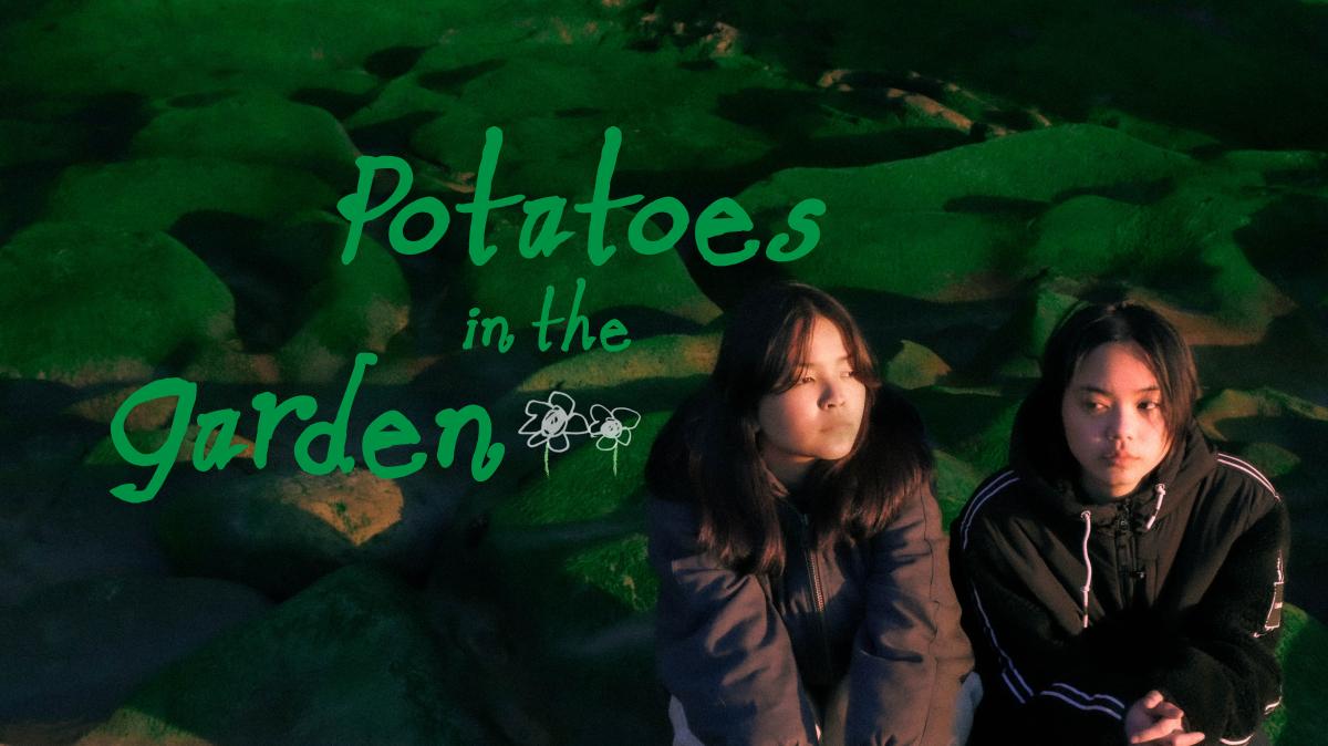 POTATOES IN THE GARDEN