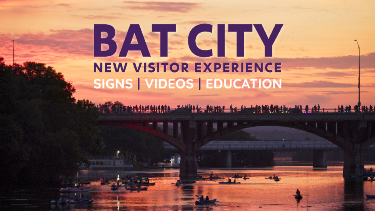 Bat City image