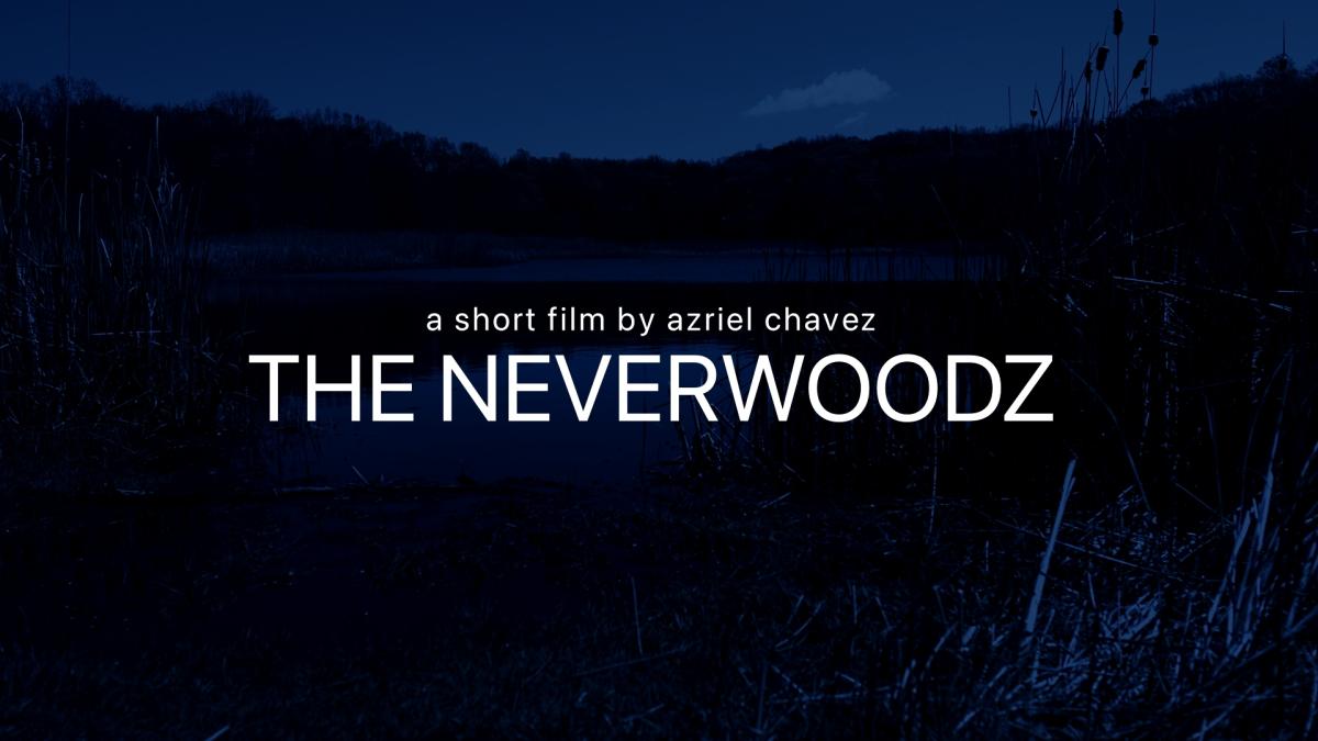 The Neverwoodz image