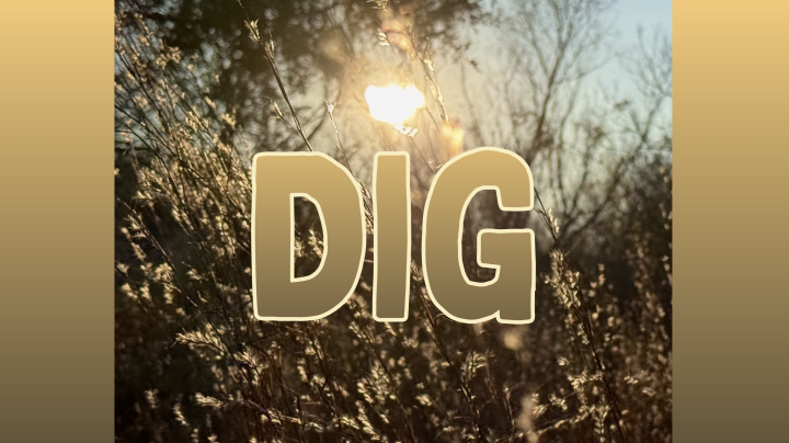 DIG