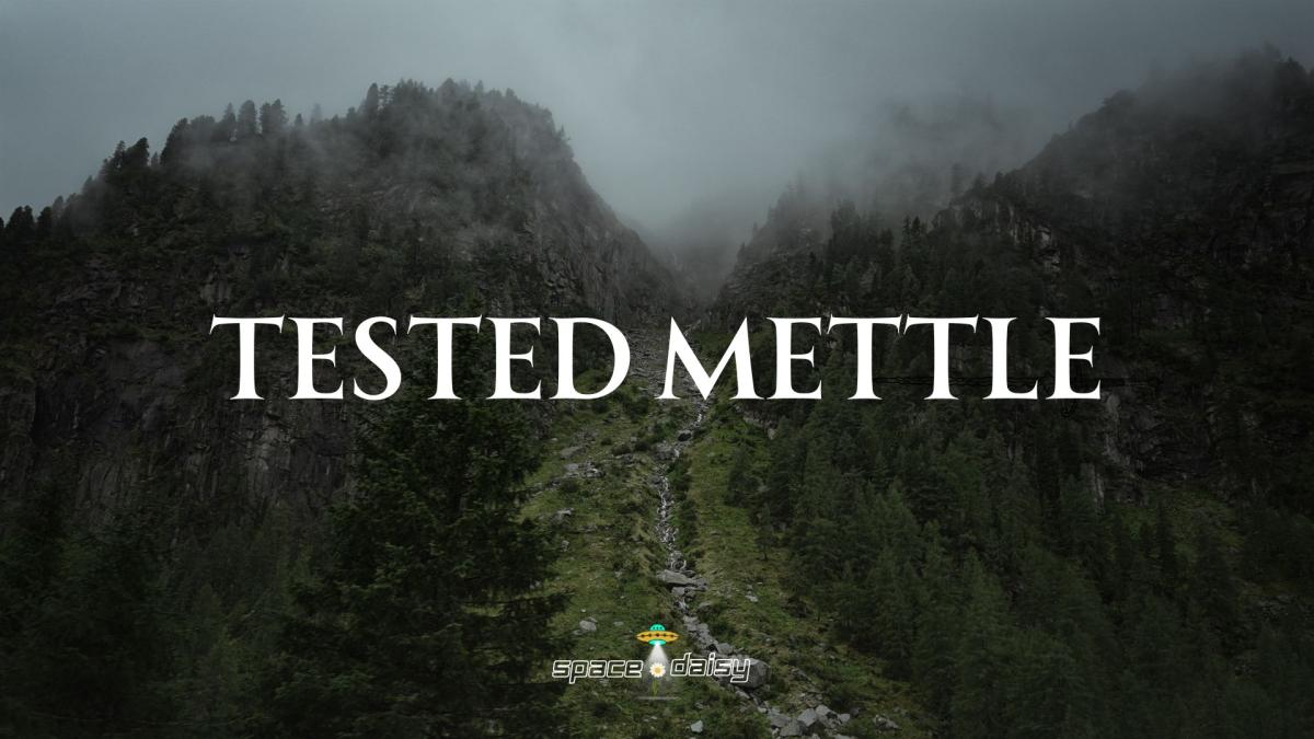 Tested Mettle