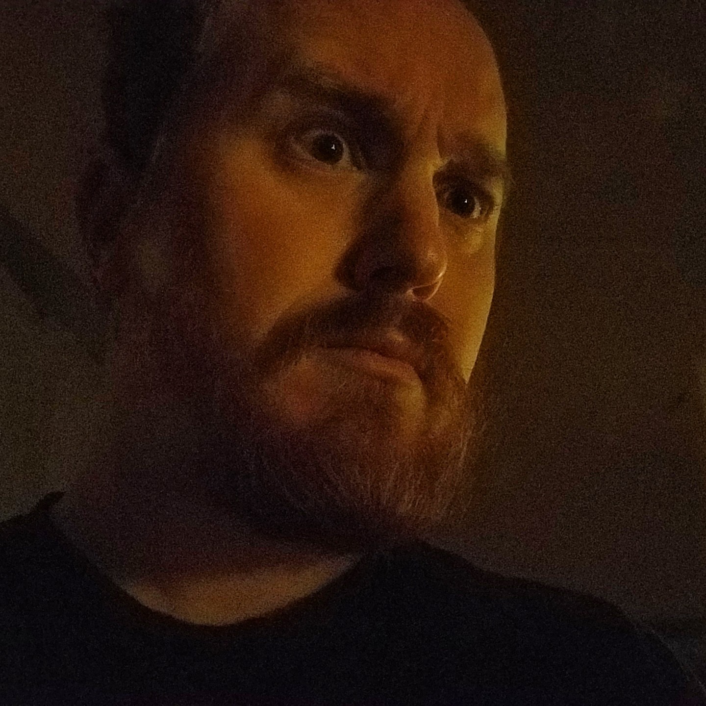 https://seedandspark-static.s3.us-east-2.amazonaws.com/images/User/000/021/717/medium/60333690_10101565277558026_288768475424358400_o.jpg image