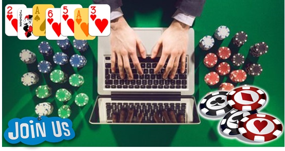 DingdongTogel agen sbobet Seed&Spark