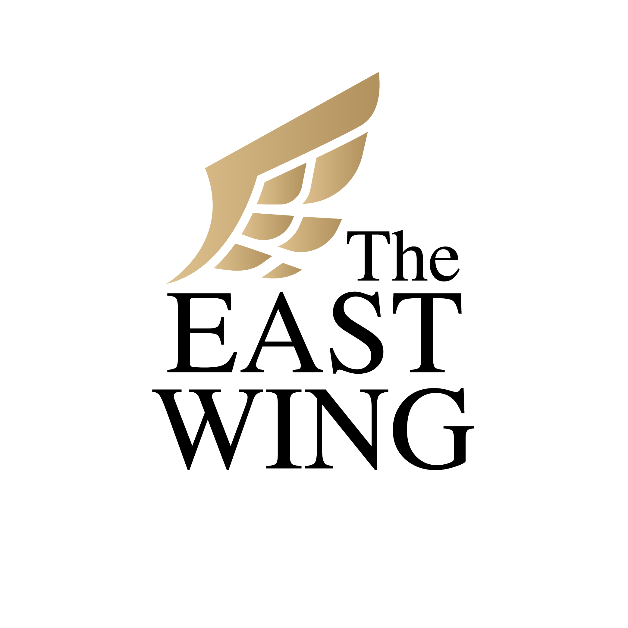 https://seedandspark-static.s3.us-east-2.amazonaws.com/images/User/001/397/648/medium/logo-the-east-wing.png image
