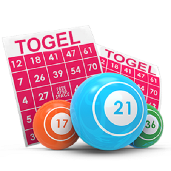 https://seedandspark-static.s3.us-east-2.amazonaws.com/images/User/001/425/577/medium/Togel%209.png image