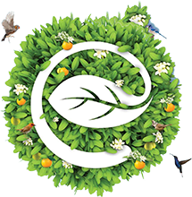 https://seedandspark-static.s3.us-east-2.amazonaws.com/images/User/001/450/171/medium/ecopark-logo.png image