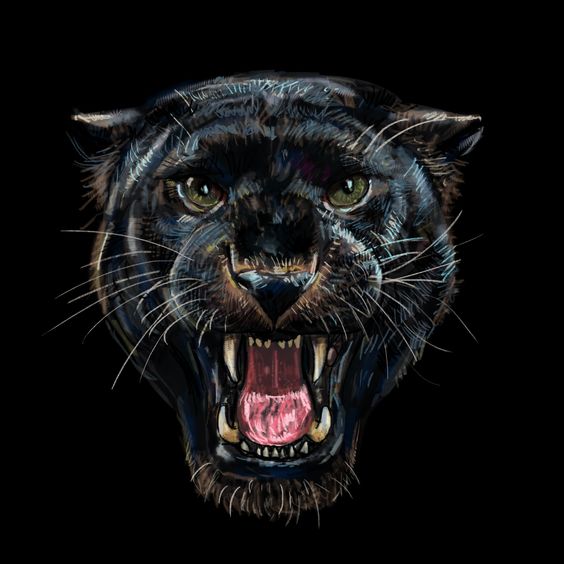 https://seedandspark-static.s3.us-east-2.amazonaws.com/images/User/001/463/684/medium/situs%20bola.jpg image