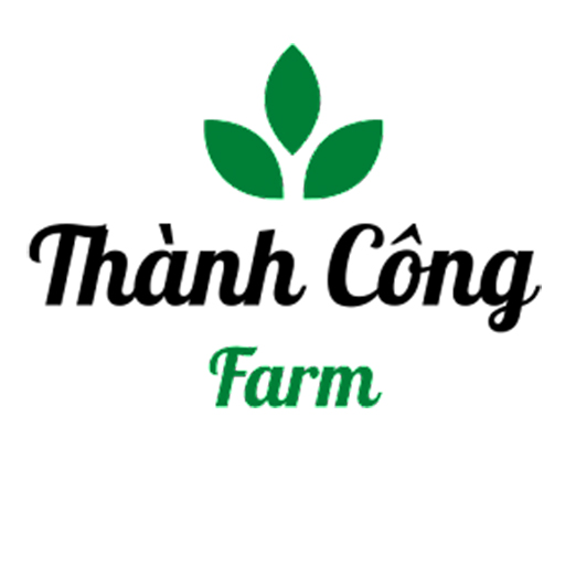 https://seedandspark-static.s3.us-east-2.amazonaws.com/images/User/001/472/462/medium/Th%C3%A0nh%20C%C3%B4ng%20Farm.jpg image