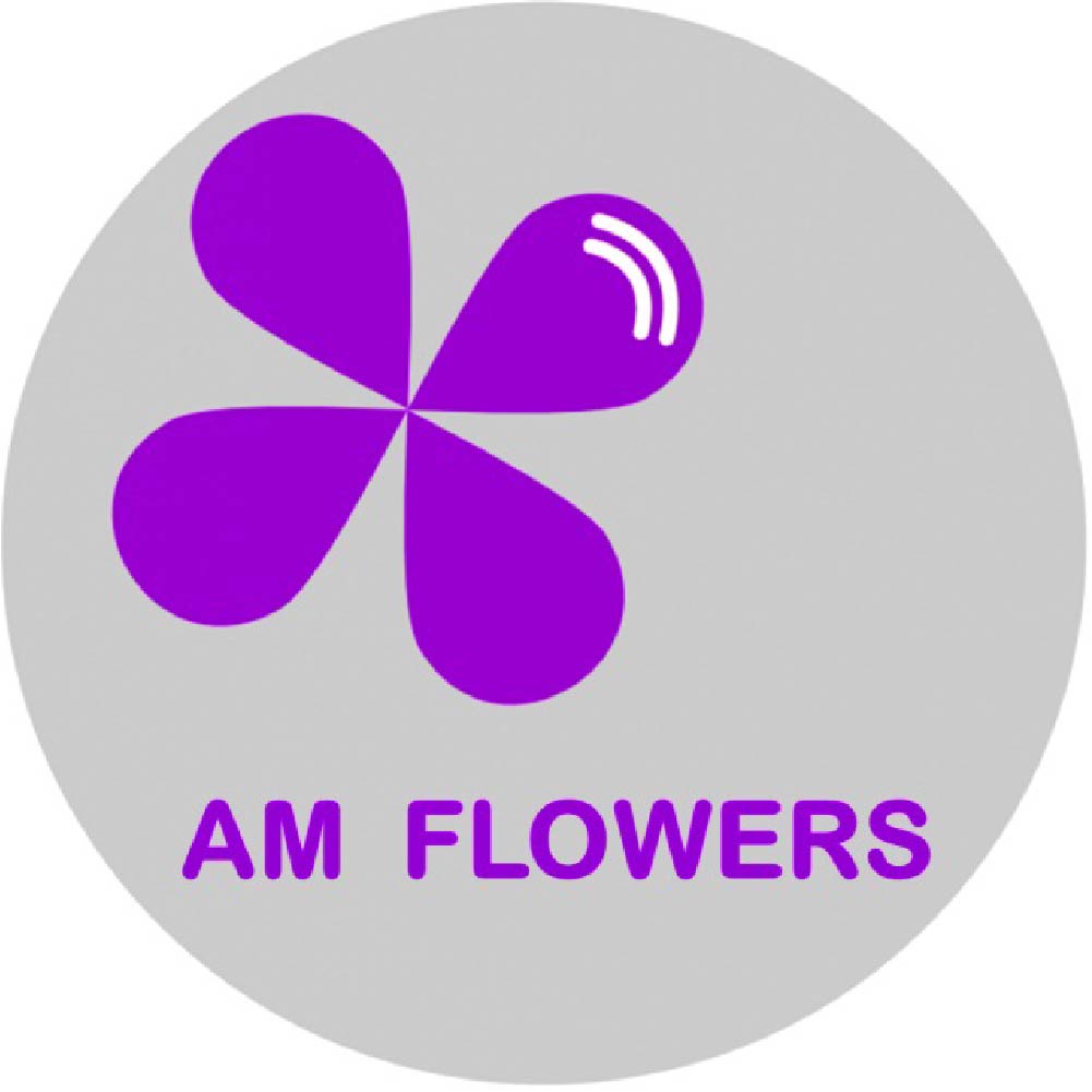 https://seedandspark-static.s3.us-east-2.amazonaws.com/images/User/001/515/905/medium/Logo-Shop-Hoa-Tuoi-AM-Flowers.jpg image