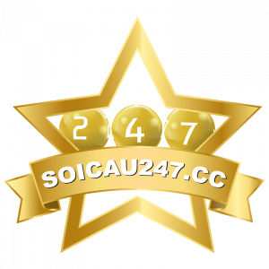 https://seedandspark-static.s3.us-east-2.amazonaws.com/images/User/001/582/184/medium/logo_soicau247.png image