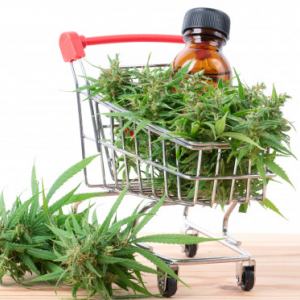 https://seedandspark-static.s3.us-east-2.amazonaws.com/images/User/001/636/474/medium/lucky%20carts%201.png image