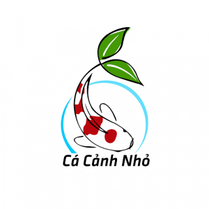 https://seedandspark-static.s3.us-east-2.amazonaws.com/images/User/001/650/076/medium/Ca%20%20canh%20nho.png image