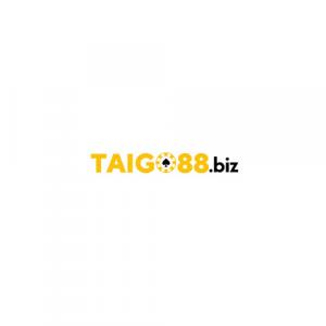 https://seedandspark-static.s3.us-east-2.amazonaws.com/images/User/001/664/606/medium/%E1%BA%A2nh%20Taigo88.jpg image