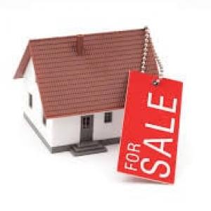https://seedandspark-static.s3.us-east-2.amazonaws.com/images/User/001/696/521/medium/Selling.House%205.jpg image
