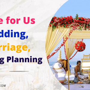 https://seedandspark-static.s3.us-east-2.amazonaws.com/images/User/001/720/456/medium/Wedding-Write-For-Us-Blog.png image