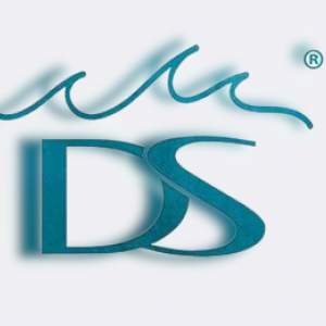 https://seedandspark-static.s3.us-east-2.amazonaws.com/images/User/001/725/027/medium/decorshore-logo-1529665308-removebg-preview.png image