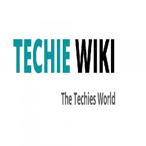 https://seedandspark-static.s3.us-east-2.amazonaws.com/images/User/001/730/904/medium/techiewiki.JPG image