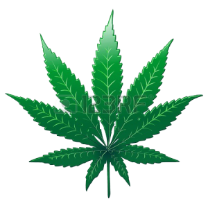 https://seedandspark-static.s3.us-east-2.amazonaws.com/images/User/001/732/831/medium/mmcc%20renewal%203.png image