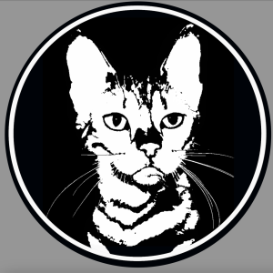 https://seedandspark-static.s3.us-east-2.amazonaws.com/images/User/001/741/060/medium/Screen%20Shot%202022-08-07%20at%208.40.31%20PM.png image