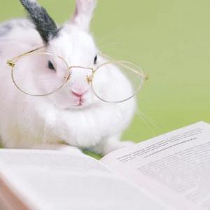 https://seedandspark-static.s3.us-east-2.amazonaws.com/images/User/001/746/127/medium/Rabbit%202.jpg image