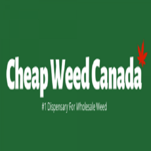 https://seedandspark-static.s3.us-east-2.amazonaws.com/images/User/001/751/719/medium/Ch%C6%B0a%20c%C3%B3%20t%C3%AAn213.png image