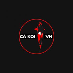 https://seedandspark-static.s3.us-east-2.amazonaws.com/images/User/001/754/638/medium/logo-cakoi.jpg image