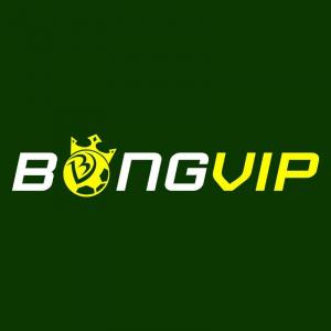 https://seedandspark-static.s3.us-east-2.amazonaws.com/images/User/001/777/292/medium/logo-bongvip.jpg image