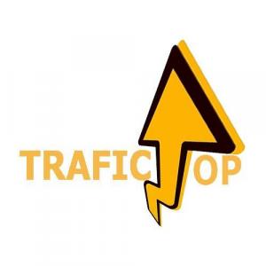 https://seedandspark-static.s3.us-east-2.amazonaws.com/images/User/001/787/280/medium/anh-logo-traffictop.jpg image