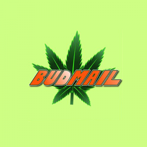 https://seedandspark-static.s3.us-east-2.amazonaws.com/images/User/001/789/167/medium/budmail%20logo.png image