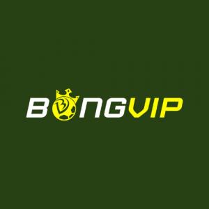 https://seedandspark-static.s3.us-east-2.amazonaws.com/images/User/001/802/376/medium/logo-bongvip.jpg image